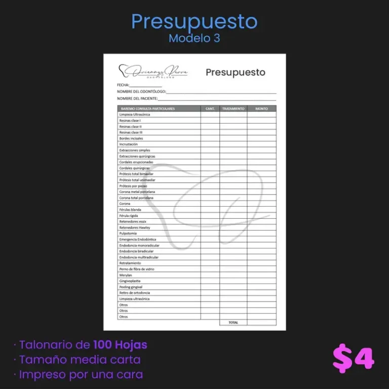 Presupuesto modelo 3